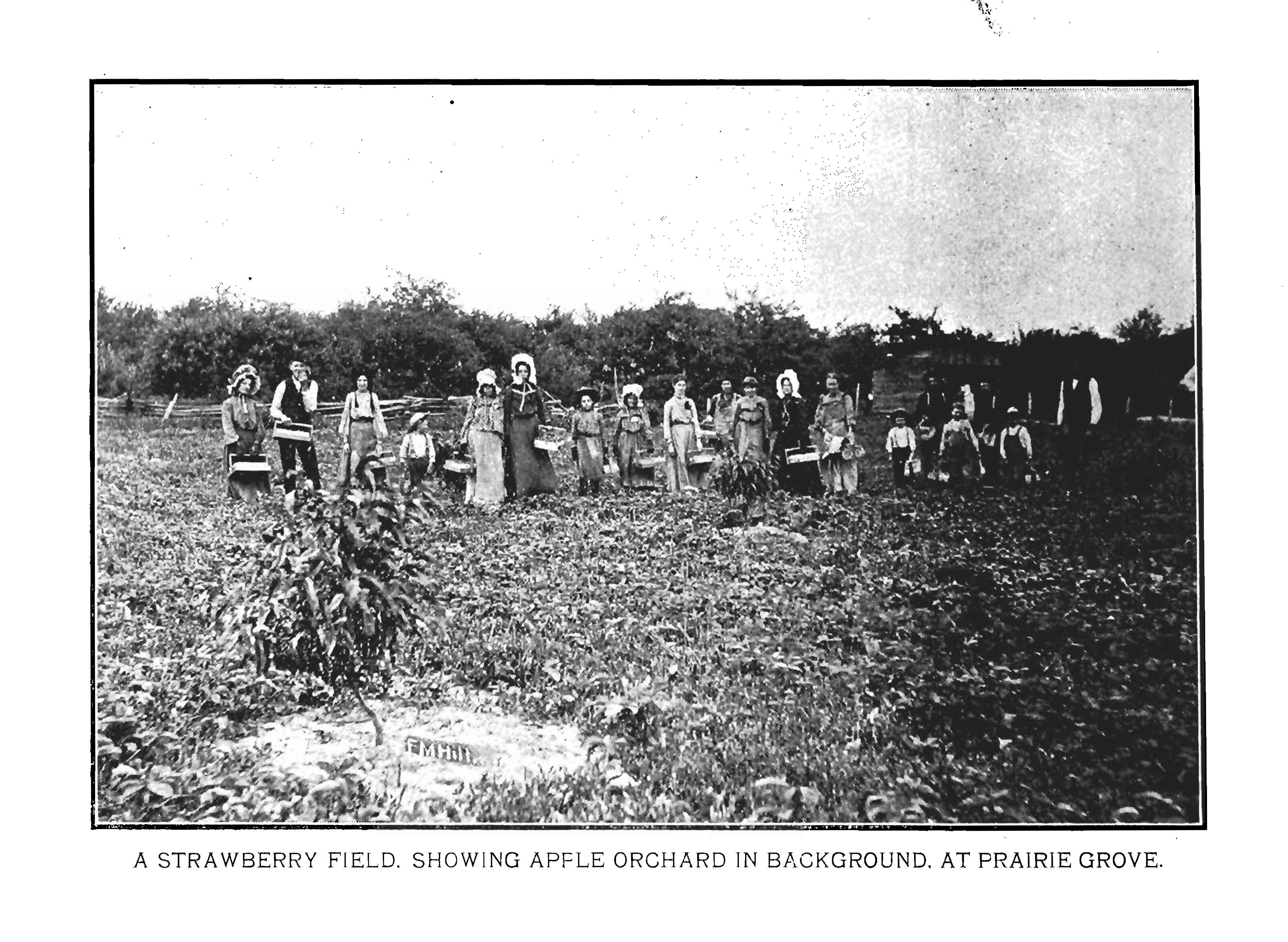 Luginbuel Funeral Home